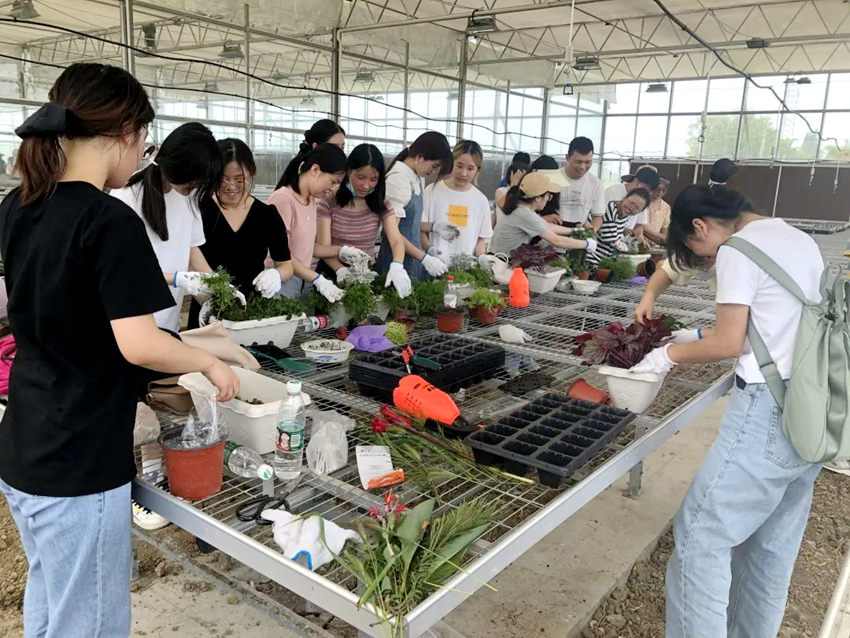 同学们学习花卉组栽。西南财大供图 同学们学习花卉组栽。西南财大供图